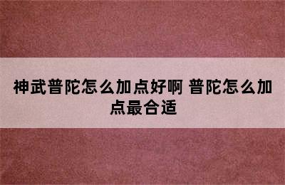 神武普陀怎么加点好啊 普陀怎么加点最合适